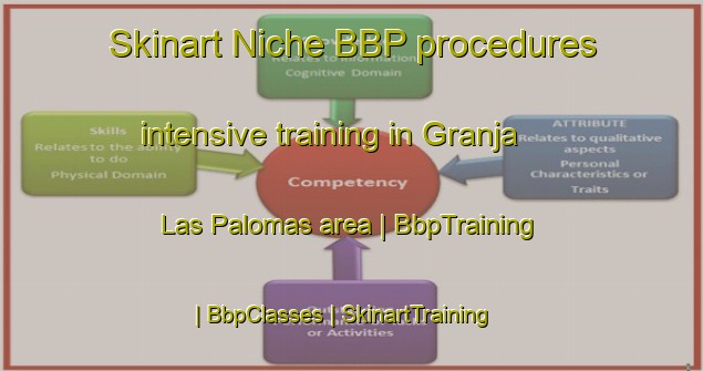Skinart Niche BBP procedures intensive training in Granja Las Palomas area | BbpTraining | BbpClasses | SkinartTraining-Mexico